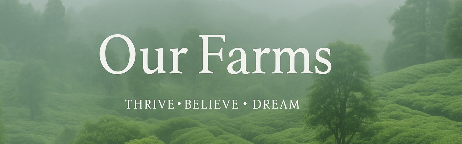Banner Desktop